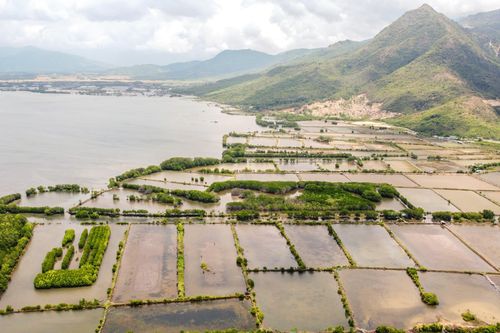 Cam Lâm dừng thực hiện đăng ký biến động đất đai 2.385 thửa đất