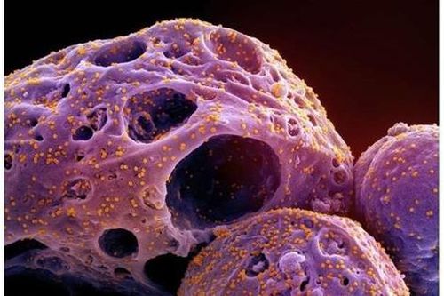Phát hiện xu hướng 'chạy trốn' ngày càng tăng của các biến thể phụ Omicron mới