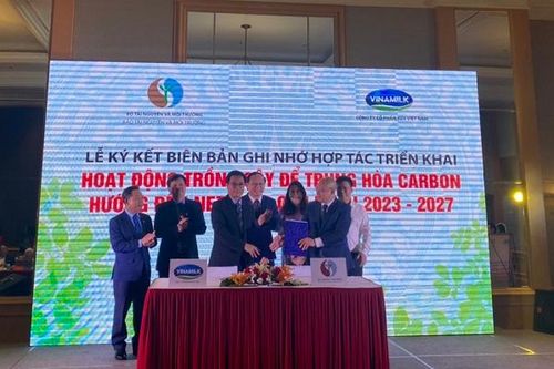 Trồng cây trung hòa carbon hướng đến mục tiêu Net Zero
