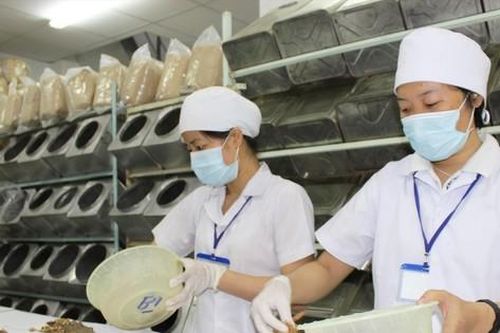 Thuốc quảng cáo, bán trôi nổi trên mạng: Hiểm họa khôn lường