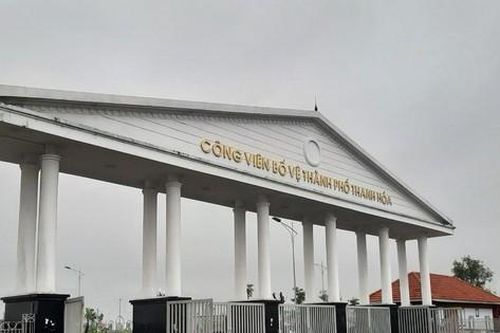 Gần 550 cây xanh ở công viên bị úng nước chết: Thiết kế thoát nước như thế nào?