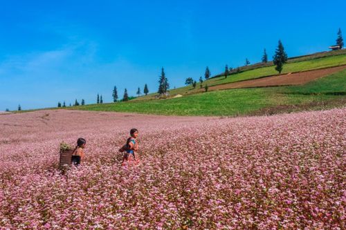Hà Giang cảnh báo tình trạng lừa bán 'phòng ảo' tại Đồng Văn
