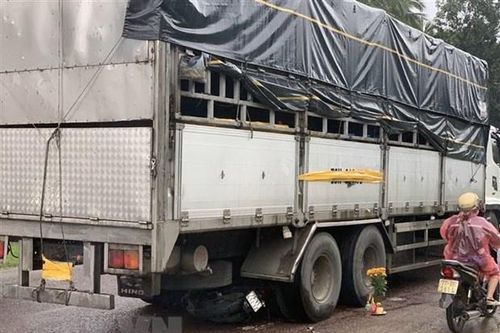 Xe tải lùi cán chết 3 mẹ con có còn hạn kiểm định?