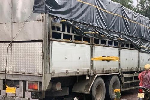 Tạm giữ hình sự tài xế lùi xe làm chết 3 mẹ con ở Phú Yên