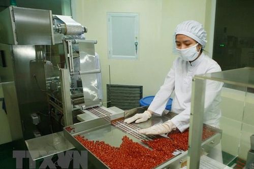 Tăng trưởng đi kèm nhiều thách thức với doanh nghiệp dược