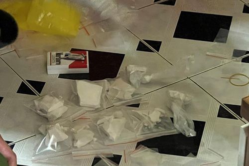Triệt phá thành công chuyên án mua bán ma túy số lượng lớn