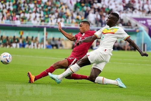 World Cup 2022: Bảng A - Qatar nỗ lực cho trận đấu cuối với Hà Lan