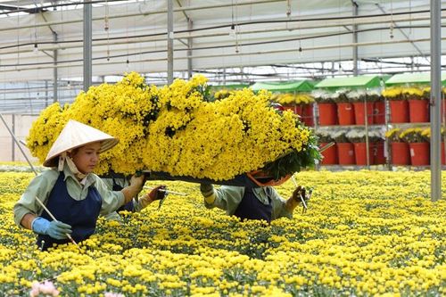 Lâm Đồng không thu hút được dự án FDI mới trong năm 2022