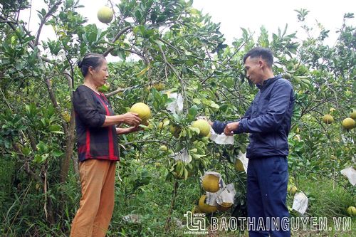 Đồng Bầu xây dựng đời sống mới
