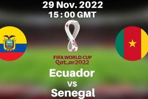 Soi kèo World Cup hôm nay: Kèo Ecuador vs Senegal - Đương kim vô địch châu Phi buộc phải thắng