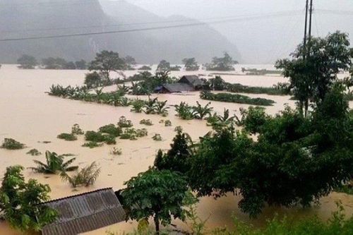 Chủ động ứng phó mưa lũ, gió mạnh và rét đậm, rét hại