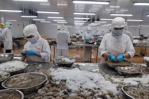 Chiến lược 'xanh hóa' ngành thủy sản xuất khẩu