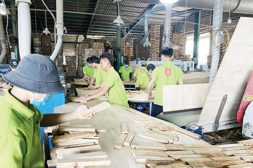 Gỗ ghép thanh tồn kho lớn