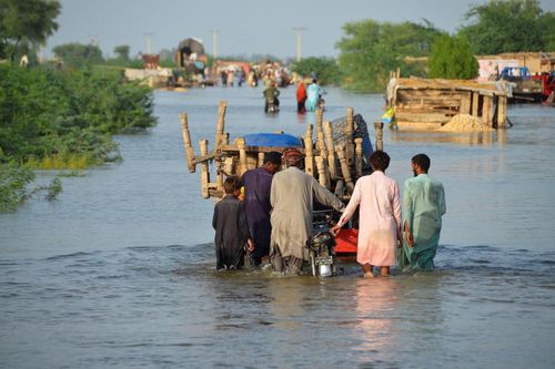 Hội nghị COP27: Thế giới chung tay ứng phó biến đổi khí hậu