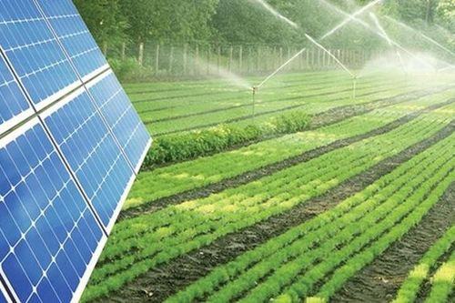 Chìa khóa giúp ngành nông nghiệp ứng phó với biến đổi khí hậu