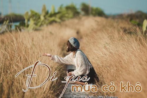 Tản văn hay: Đi qua mùa cỏ khô