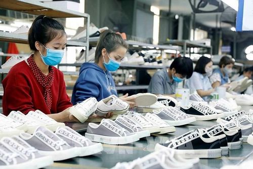CPTPP: Gia tăng tỷ lệ tận dụng ưu đãi của doanh nghiệp Việt Nam