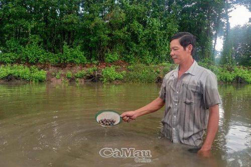 Ða dạng cách làm giàu