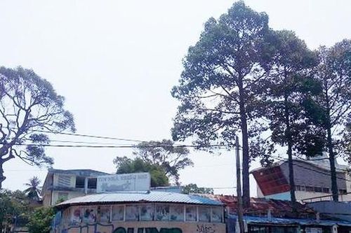 Bà Rịa - Vũng Tàu xin ý kiến Thủ tướng đấu giá khu 'đất vàng' nghìn tỷ