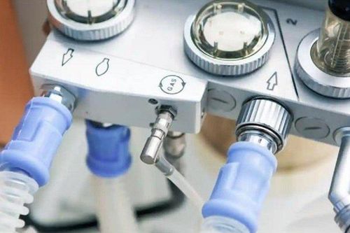 Cụ bà 72 tuổi bị bắt vì cố tình tắt máy thở của bệnh nhân cùng phòng