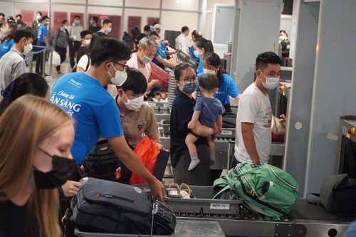 Khách giấu ma túy qua sân bay, cảnh báo gia tăng nguy cơ mất an toàn