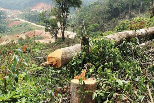 Đề nghị xem xét kỷ luật nguyên lãnh đạo Thành ủy, UBND thành phố Bảo Lộc