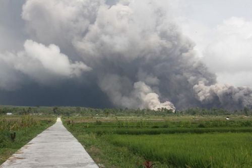 Núi lửa ở Đông đảo Java, Indonesia phun trào giữa đêm, 2.000 sơ tán khẩn cấp