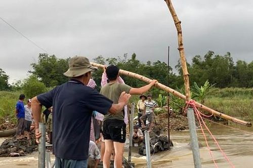 Người dân Quảng Ngãi làm cầu tạm cheo leo để vượt sông Trà Khúc sau ngập