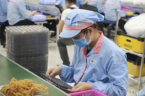 Nghệ An: Hơn 1.200 công nhân mất việc dịp cuối năm