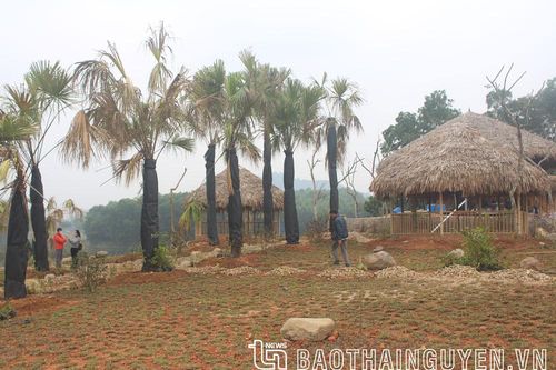 TP. Sông Công: Đơn thư trong lĩnh vực đất đai có xu hướng tăng