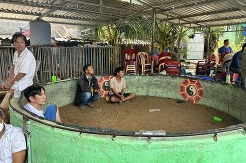 Đột kích trường gà lớn 'ẩn mình' trong hẻm sâu, khống chế gần 70 đối tượng