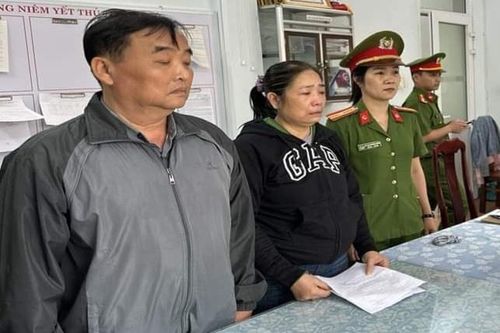 Bắt tạm giam 2 vợ chồng lừa đảo chiếm đoạt hàng trăm tỷ đồng