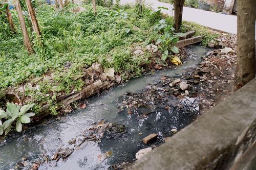 Cần giải quyết dứt điểm nguồn gây ô nhiễm môi trường