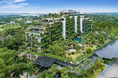 Flamingo và những niềm tự hào quốc tế