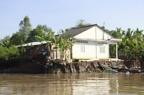 Vĩnh Long: Sạt lở bờ sông Cổ Chiên, 13 căn nhà rơi xuống sông