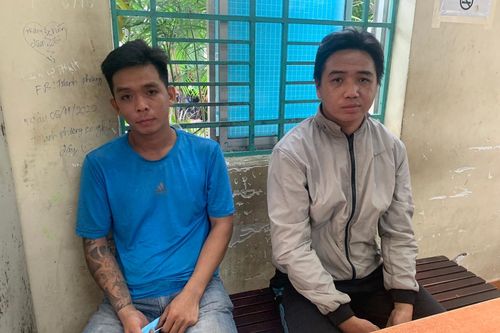 Bắt giữ 2 thanh niên trộm mai kiểng nhà dân ở TP.HCM