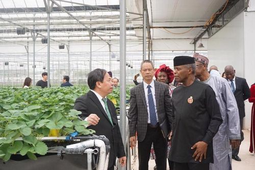 Thúc đẩy hợp tác nông nghiệp Việt Nam - Nigeria