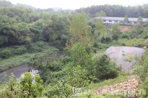 Cần xử lý dứt điểm trang trại gây ô nhiễm ở Na Vùng