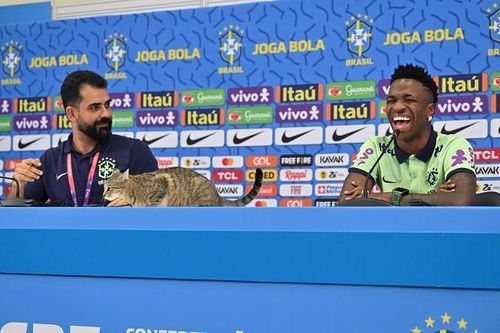 World Cup 2022: Chú mèo bất ngờ xuất hiện trên bàn họp báo đội tuyển Brazil