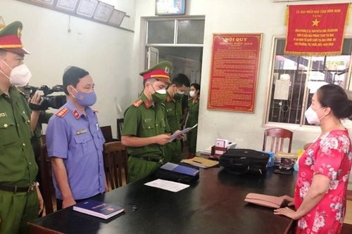 Vụ đấu giá 262 lô đất ở Phú Yên: Đề nghị truy tố hai bị can về tội Trốn thuế