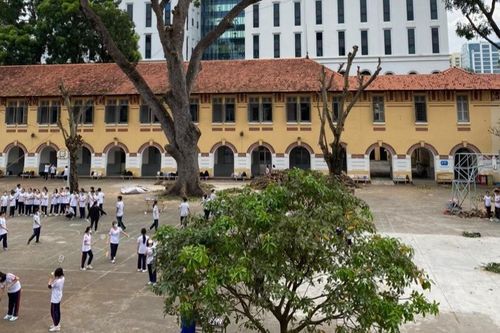 Loạt cây cổ thụ trong ngôi trường hơn trăm tuổi ở TP.HCM bỗng nhiên trơ trụi