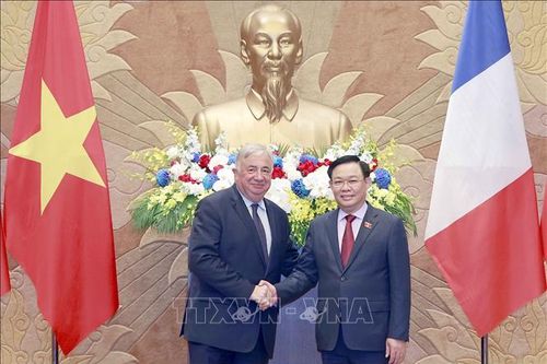 Chủ tịch Quốc hội Vương Đình Huệ đón, hội đàm với Chủ tịch Thượng viện CH Pháp