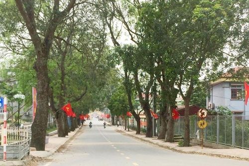Hoài Đức (Hà Nội): Xã Yên Sở đủ tiêu chí đạt chuẩn Nông thôn mới kiểu mẫu năm 2022