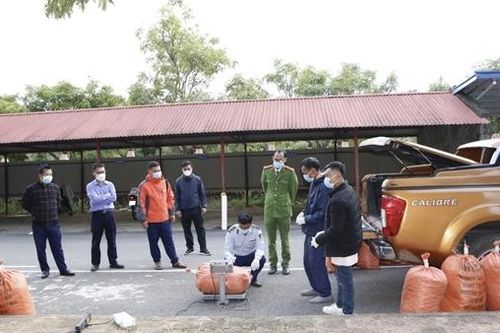 Bắt một Phó giám đốc doanh nghiệp vận chuyển hơn 1 tấn chất độc xyanua