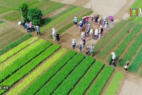 Lượng tìm kiếm về du lịch Việt Nam cao