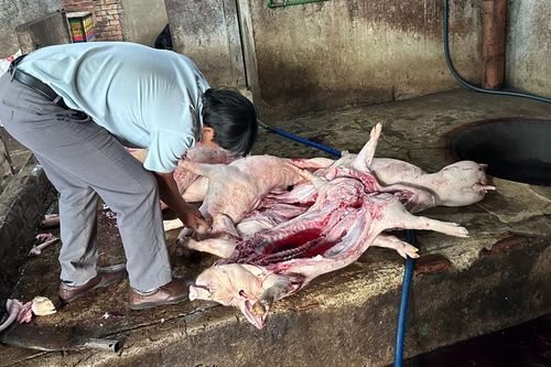 Đồng Nai: Phát hiện cơ sở giết mổ heo chết, mang mầm bệnh