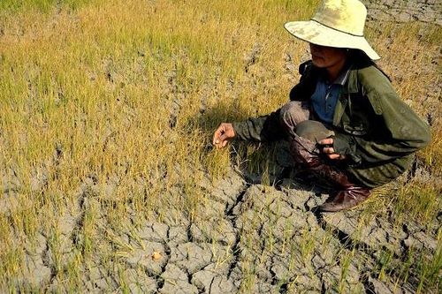 Lao động nữ đứng trước nguy cơ mất việc làm, giảm thu nhập vì biến đổi khí hậu
