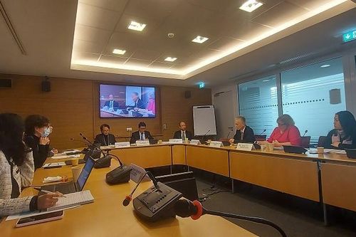 Việt Nam tham gia Hội nghị tham vấn lần hai của OECD về Báo cáo triển vọng kinh tế Đông Nam Á, Trung Quốc và Ấn Độ năm 2023