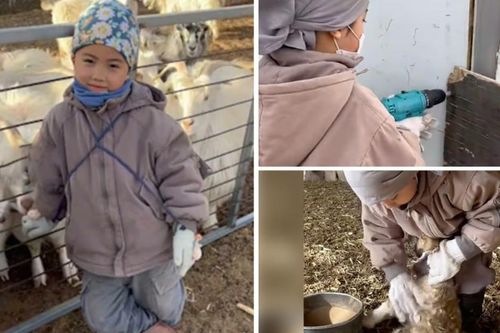 Cậu bé 5 tuổi khiến cư dân mạng Trung Quốc 'ngả mũ' thán phục