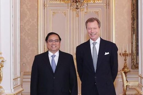 Đại Công tước Luxembourg cam kết hỗ trợ Việt Nam thực hiện các mục tiêu tăng trưởng xanh